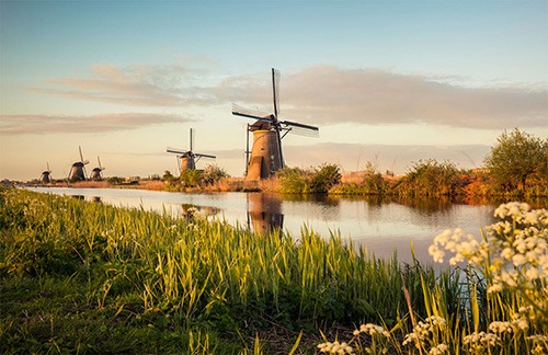 a row of dutch kinderdijk windmills in twilight at kinderdijk polder